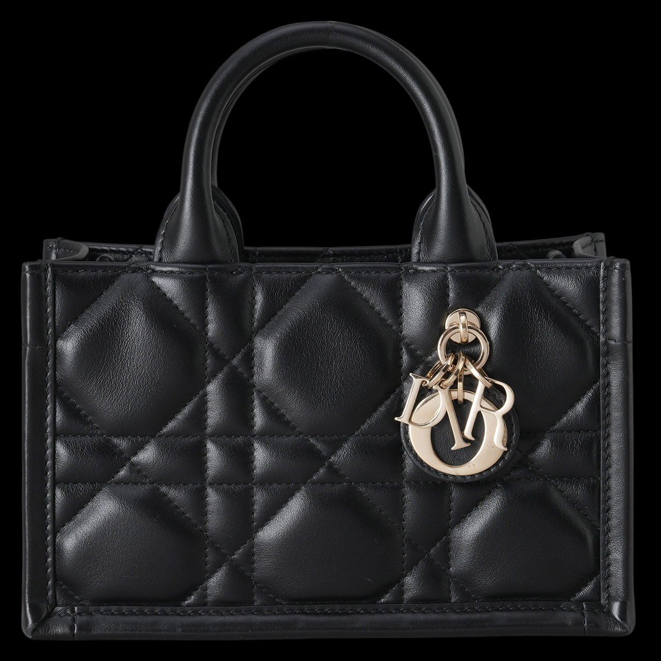 CHRISTIAN DIOR(USED)디올 레더 북토트 미니